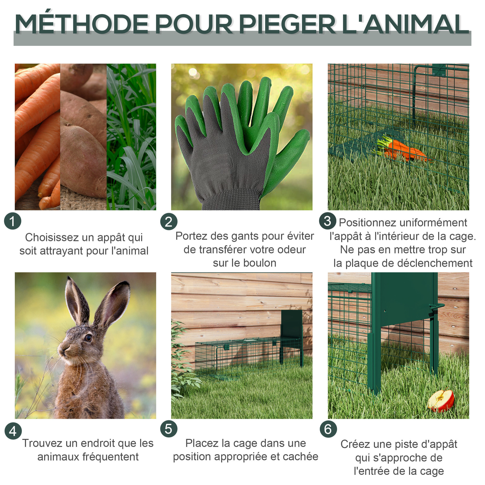 Piège de capture pour petits animaux type lapin rat - entrée, poignée - dim. 80L x 25l x 30H cm - acier vert