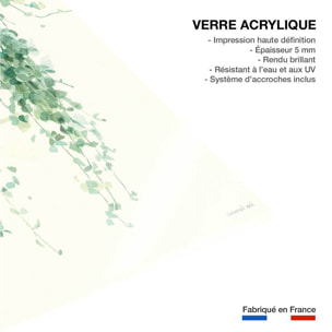 Tableau fleurs Plante tropicale Ceropegia illustrée Tableau plexiglas