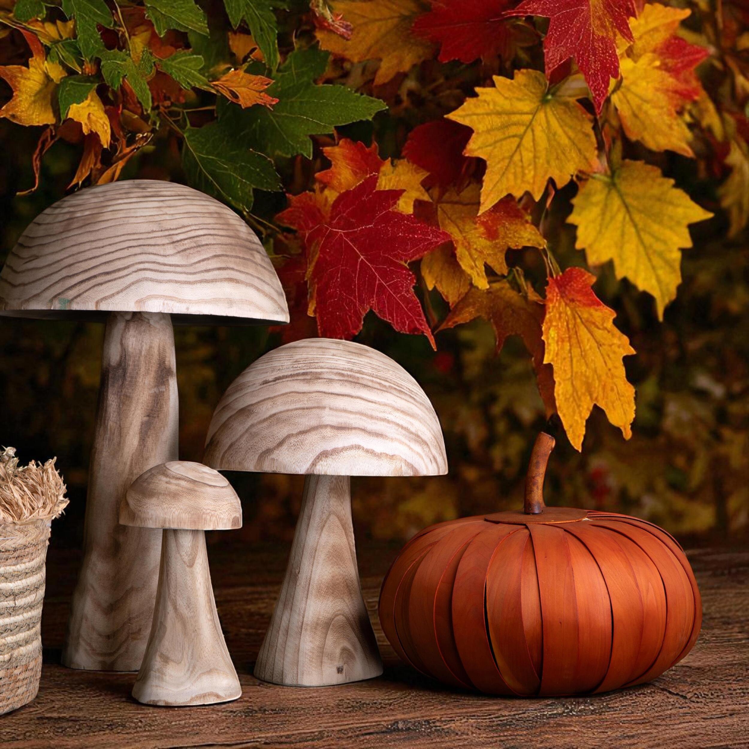 Zucca - Pezzi 2 - 40xH32x40cm - Bianchi Dino SpA