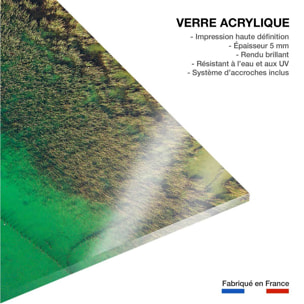 Tableau végétaux et flore aquatique Tableau plexiglas