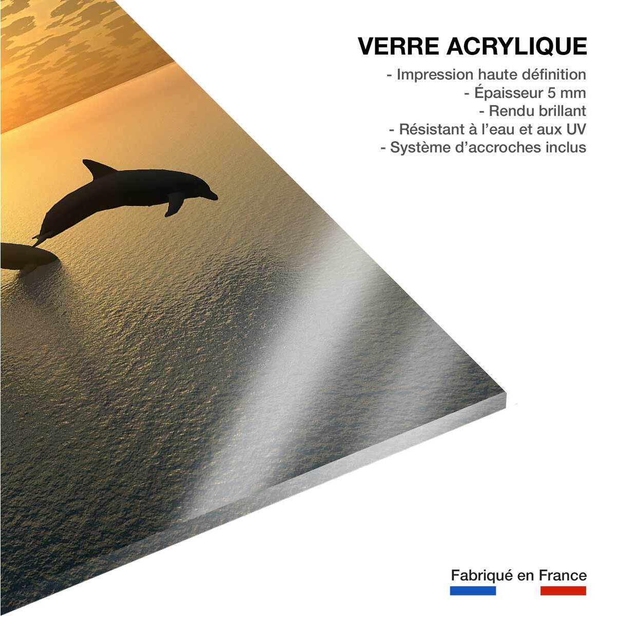 Tableau décoratif dauphins Tableau plexiglas