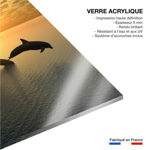 Tableau décoratif dauphins Tableau plexiglas
