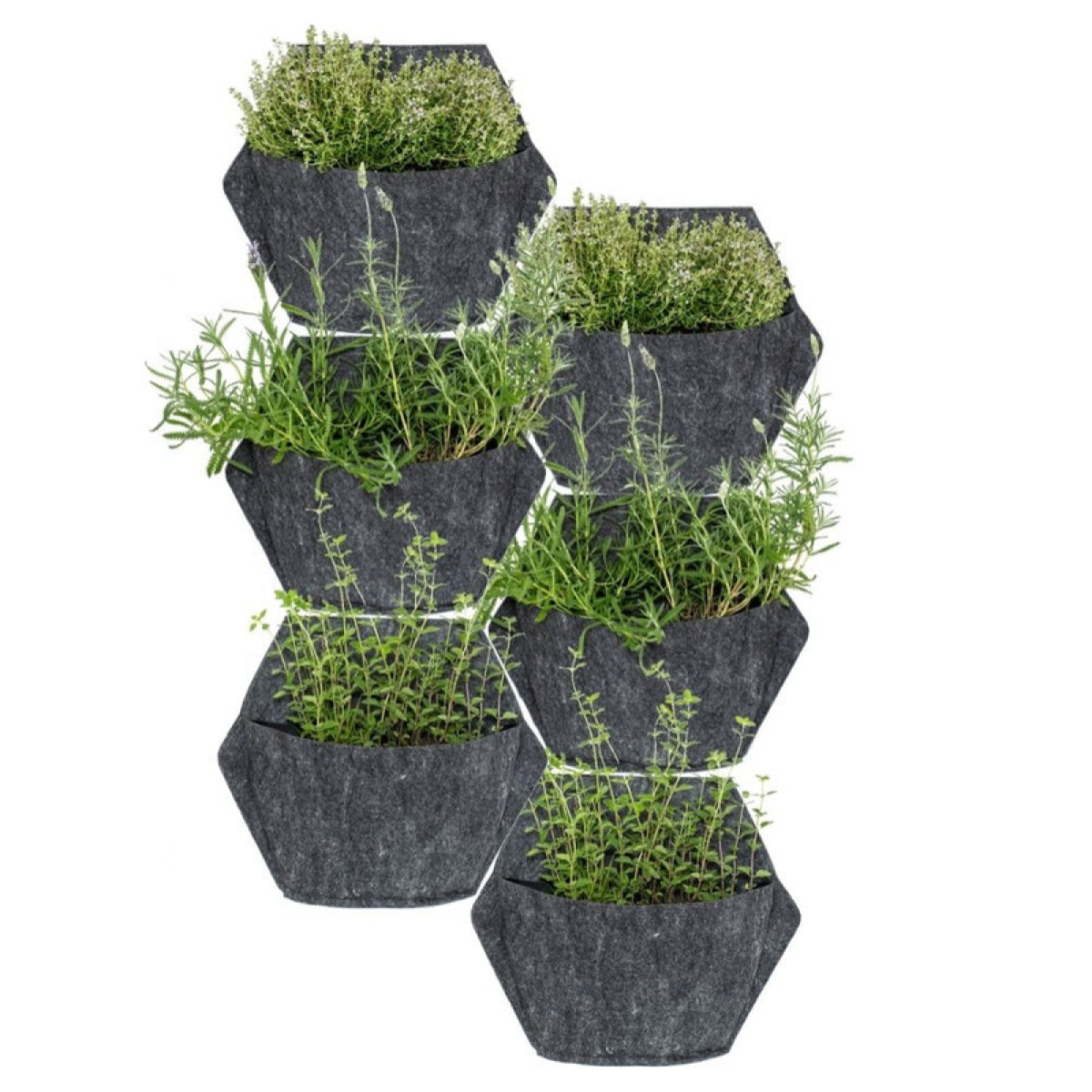 Jardín vertical con autorriego : 6 macetas de pared hexagonales con 12 plantas colgantes