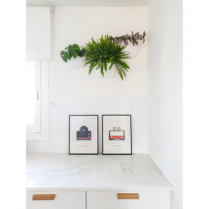 Maceta de pared blanca con 2 plantas colgantes