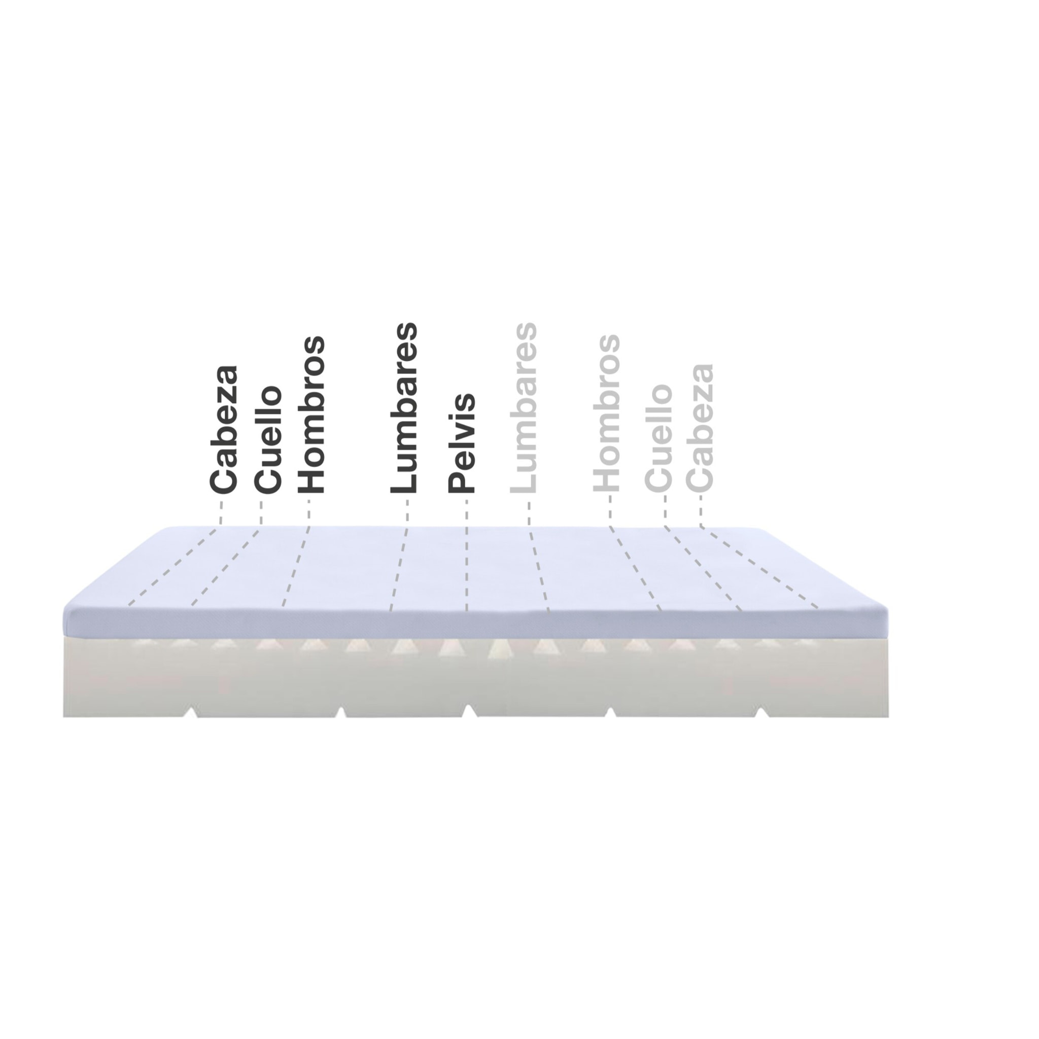 MATELAS MAX ONE ORTHOPEDIQUE DEHOUSSABLE MULTIZONE, 20 cm, 2 places - Moonia