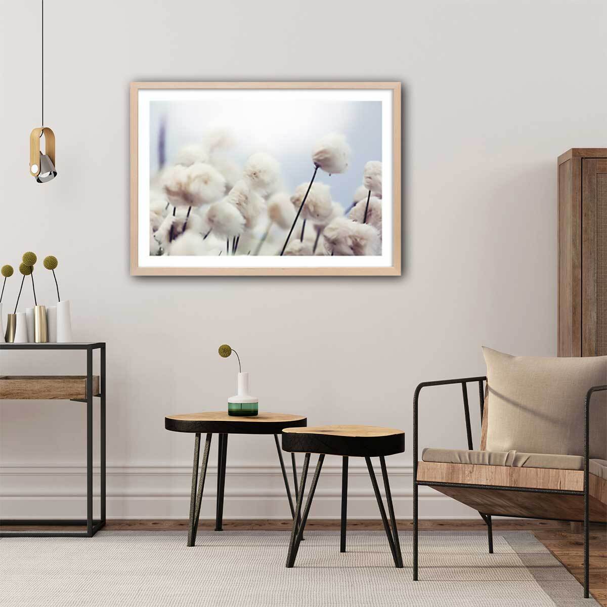 Affiche fleurs de coton au vent Affiche + cadre en bois - Chêne