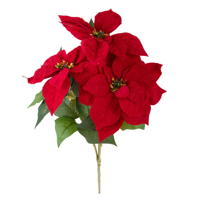 Stella natale d. - Pezzi 12 - ROSSO - Bianchi Dino SpA