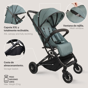 Silla de Paseo Voyage