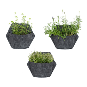 Maceta de pared autorriego hexagonal con 2 plantas colgantes