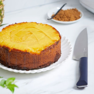 Couteau OPINEL trio intempora No218