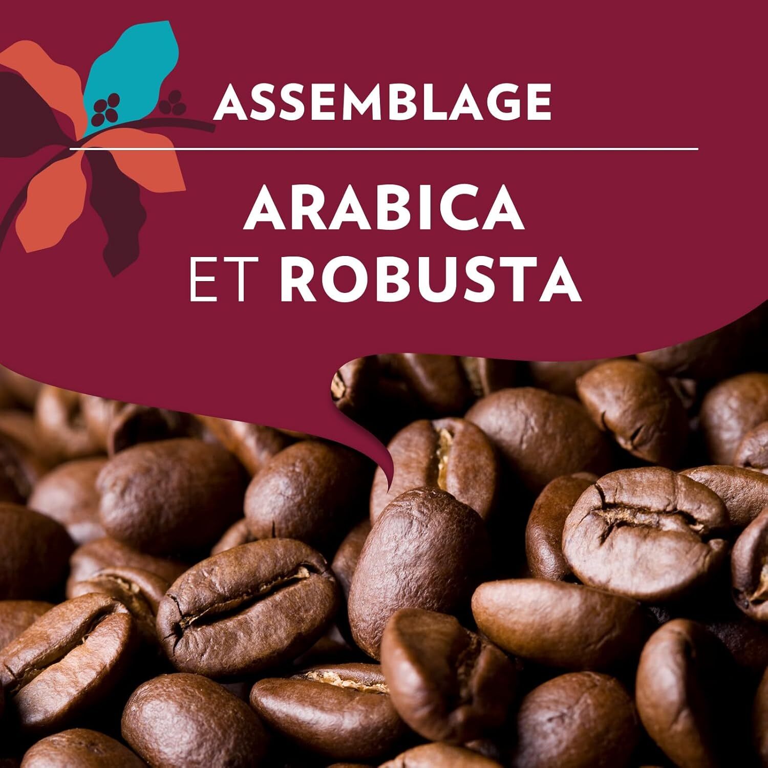 Grains Tales Of Napoli  450G