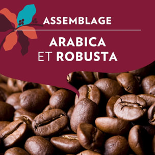 Grains Tales Of Napoli  450G