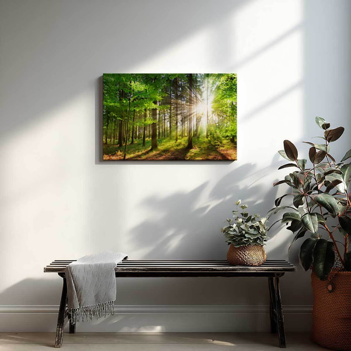 Tableau forêt verte baignée de lumière Toile imprimée
