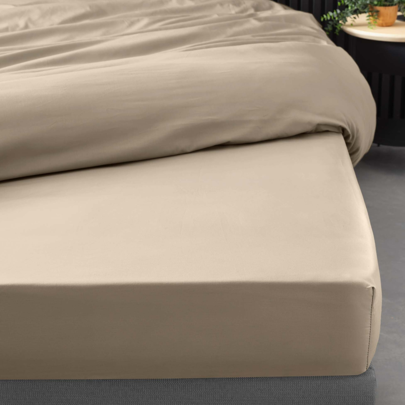 Drap Housse Uni 100% Percale de Coton ORIGINE - Sable