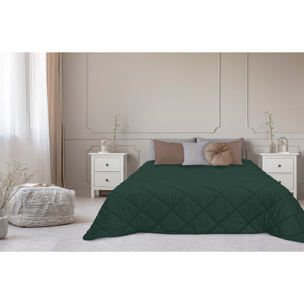 TRAPUNTA INVERNALE VELLUTO LETTO MATRIMONIALE "LE CANNETè" VERDE FORESTA PRODOTTO ITALIANO 350 GR/MQ