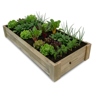 Cajonera de Cultivo Box XXL30 (200x80x30cm) Planeta Huerto 390 L