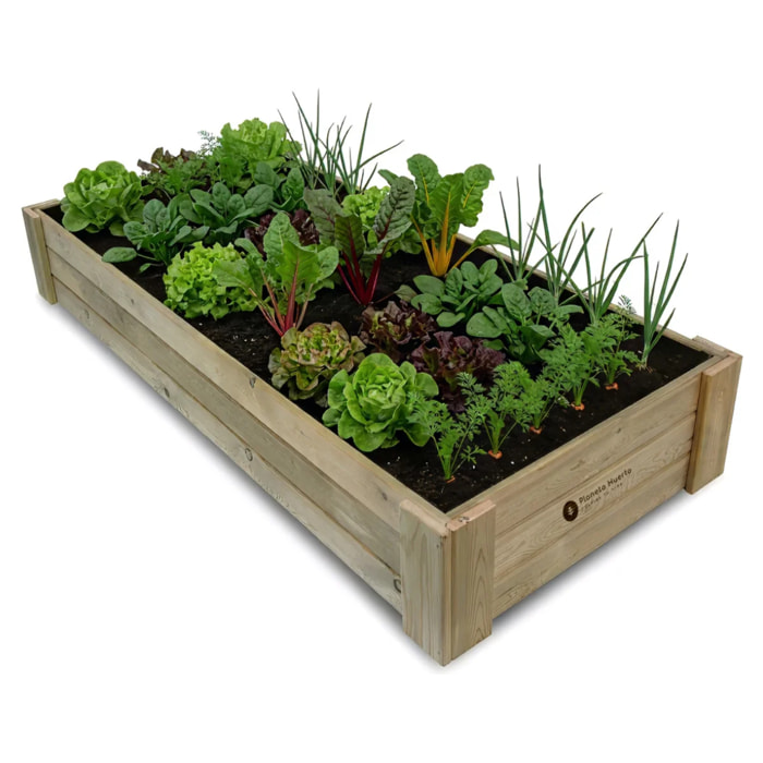Cajonera de Cultivo Box XXL30 (200x80x30cm) Planeta Huerto 390 L