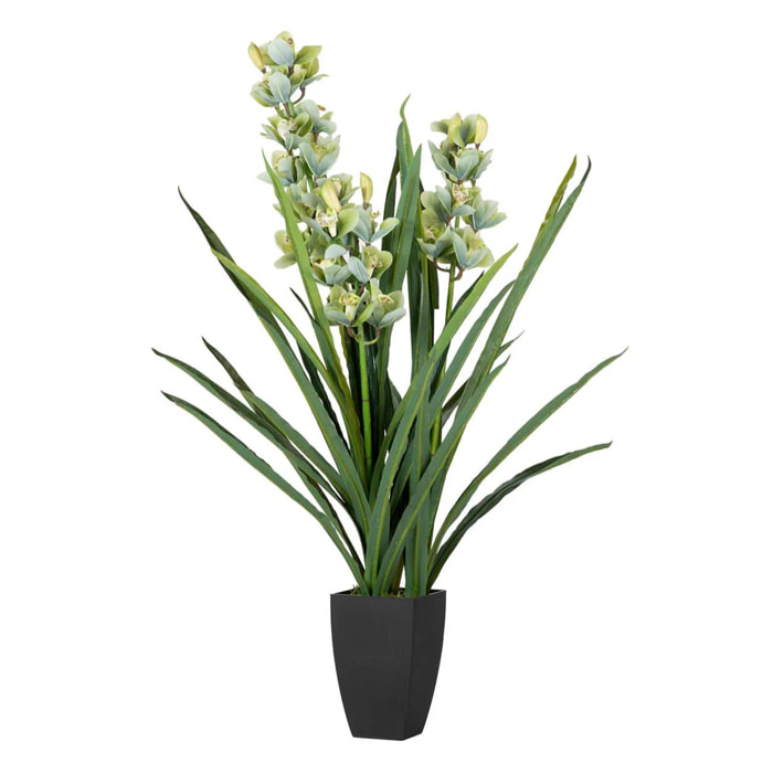 Planta Orquidea Cymbidium 70x70x110 Cm