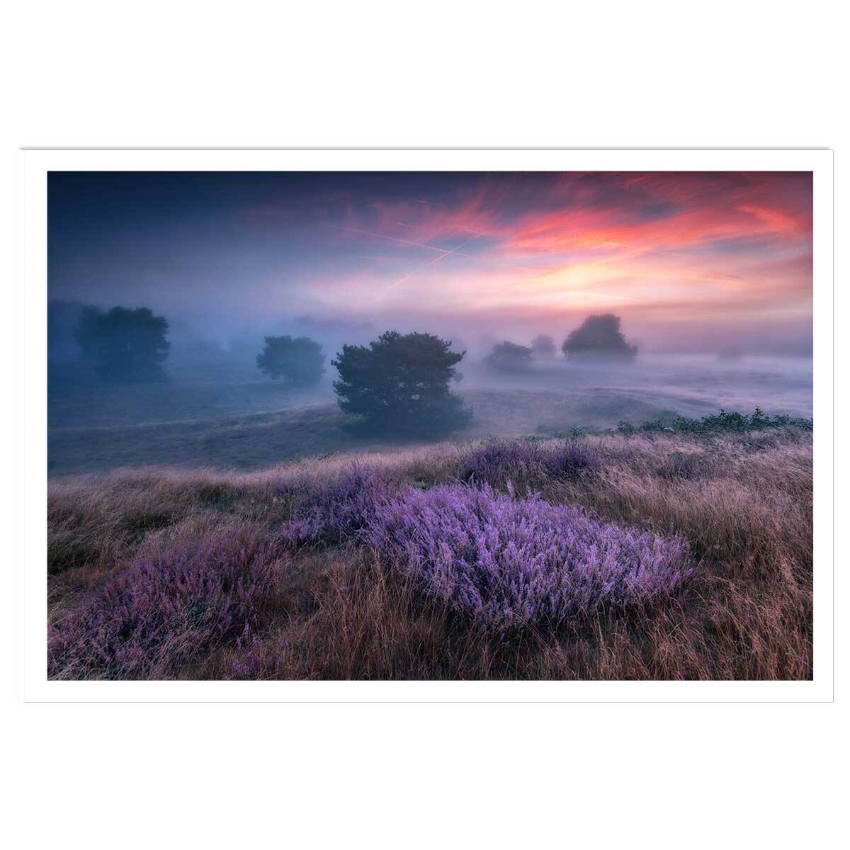 Poster couleur chaude et lavandin Affiche seule