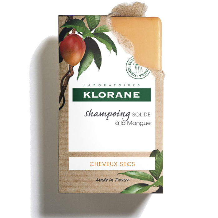Shampooing Solide - Mangue - Cheveux secs - 80 g