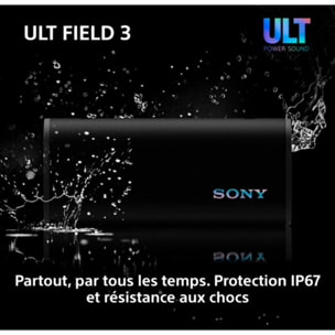 Enceinte portable SONY ULT FIELD 3 Gris foret