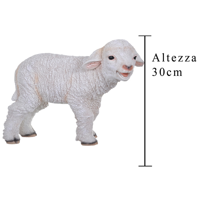 Agnello Di Resina. Altezza 30 Cm - Pezzi 1 - 30X21X12cm - Colore: Incolore - Bianchi Dino - Animali Resina E Vari Materiali