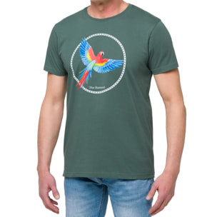 T-shirt in cotone 150 gr Phenix Hot Buttered Verde Matcha.