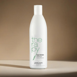 Shampooing bi-fonction 250 ml.