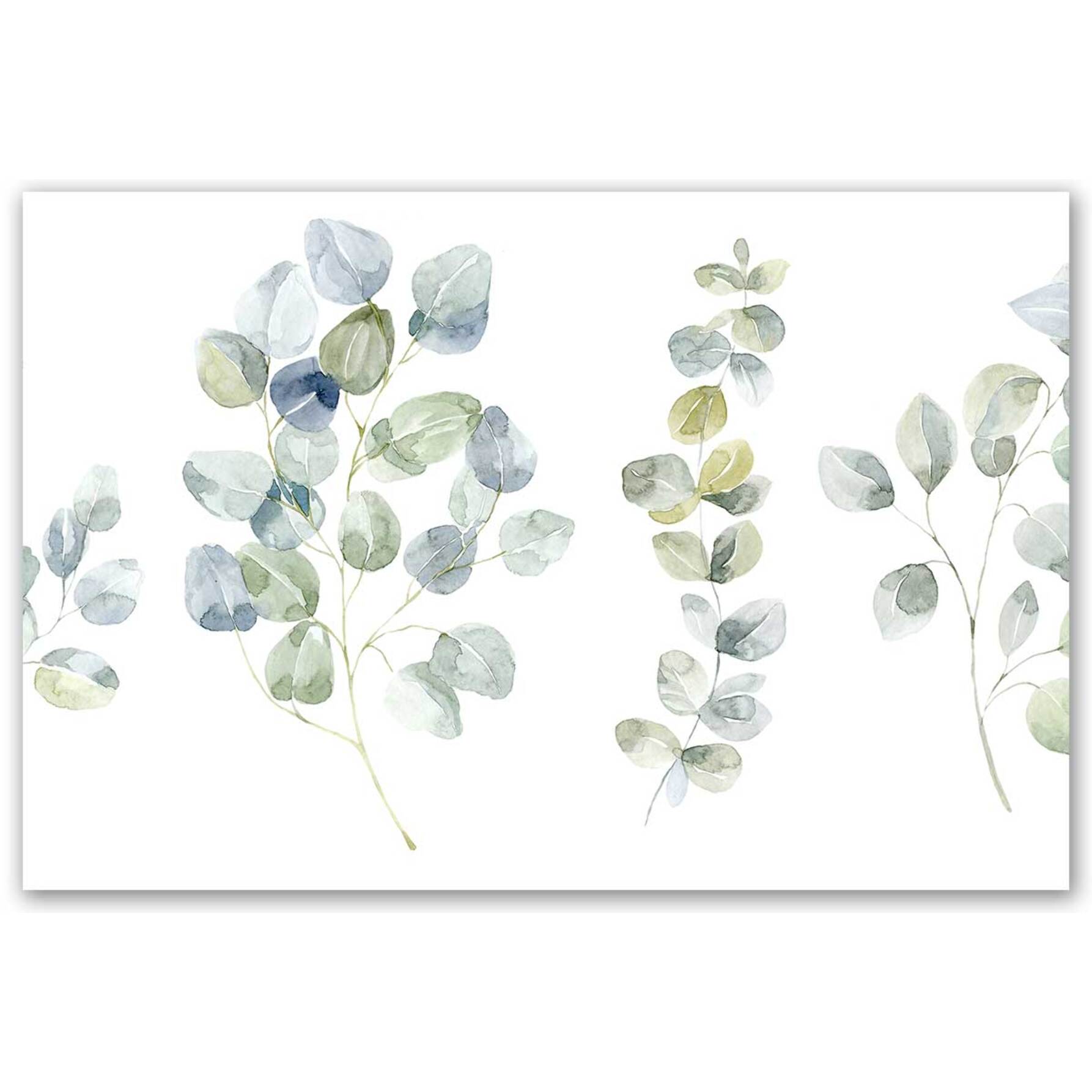 Tableau branchages eucalyptus aquarelle Toile imprimée