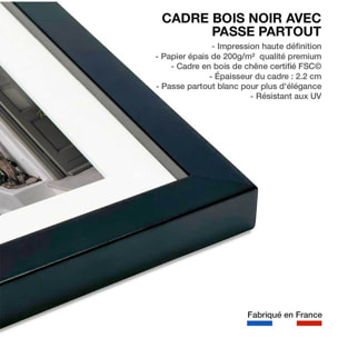 Poster bougainvilliers paros Affiche sous cadre noir
