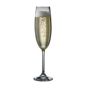 Set de 2 flûtes à champagne 22cl