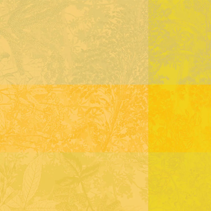 Serviette pur coton motif jacquard jaune Mille esprit jardin solaire