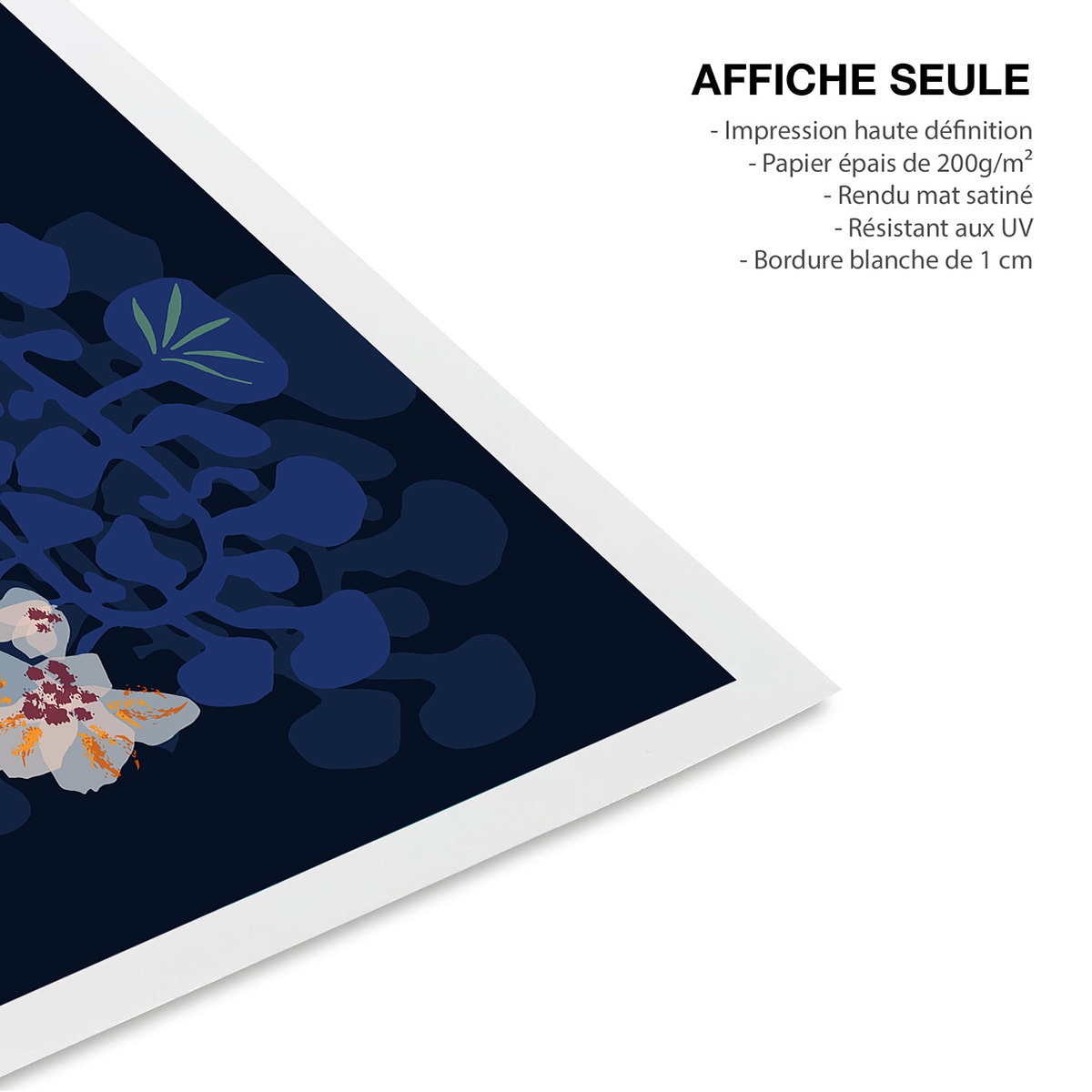 Affiche de fleurs Tableau orchidées bleues en ombre douce Affiche seule