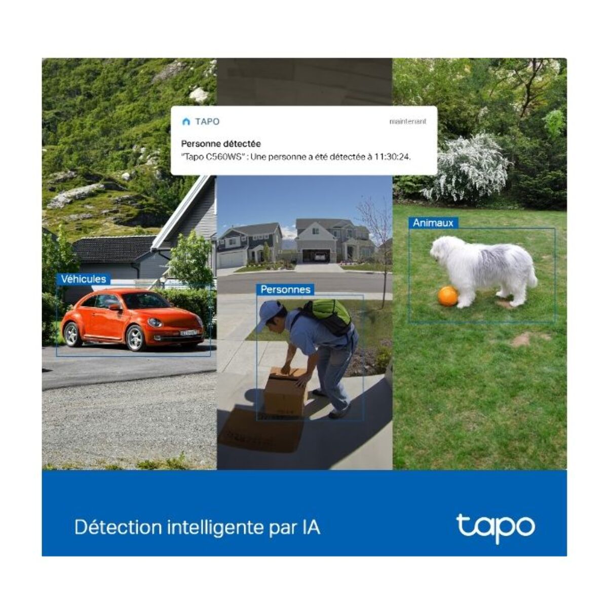 Caméra de surveillance TP-LINK outdoor Tapo C560WS