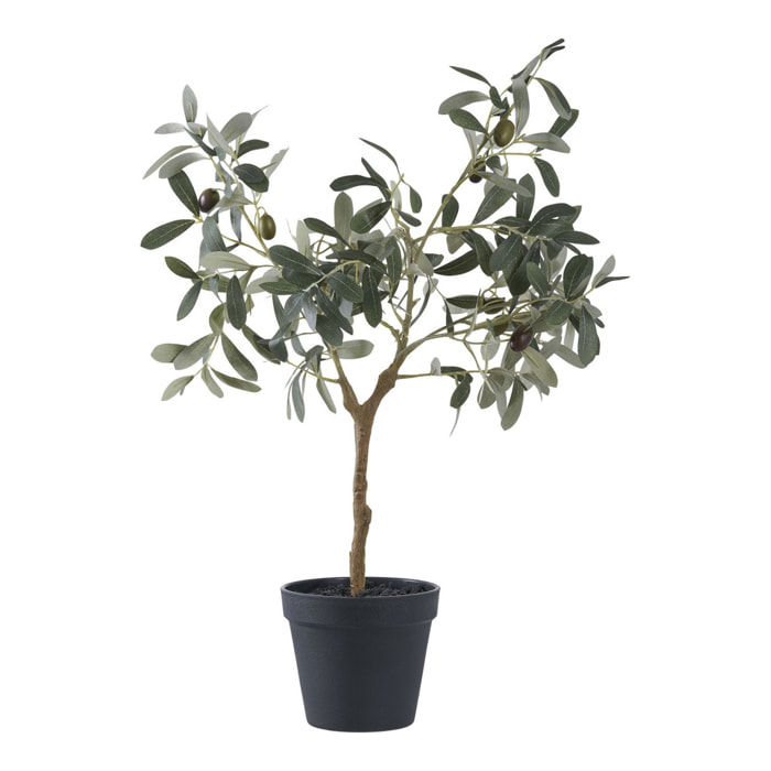 Ulivo artificiale in vaso nero H61 cm